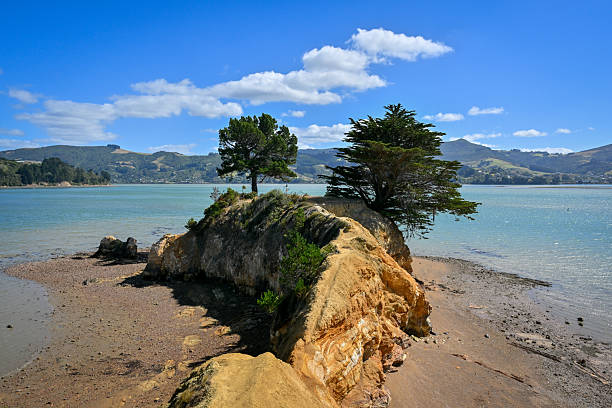 istock Coastal headland with trees, Hoopers Inlet 2223356576