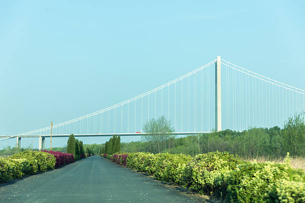 Modern bridge in the countryside