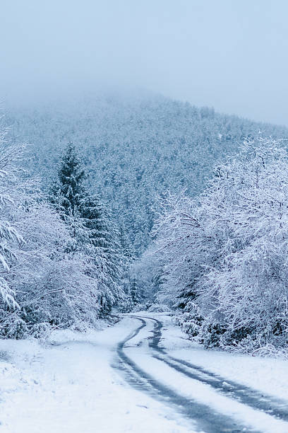 istock winter wonderland 2223358878