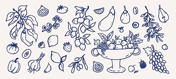 Web Summer fruits and vegetables whimsical hand drawn set. Whimsy coquette line art garden food - tomatoes, lemons, olives, garlic, bell pepper and fruit vase vector outline sketch illustration olive fruit stock illustrations