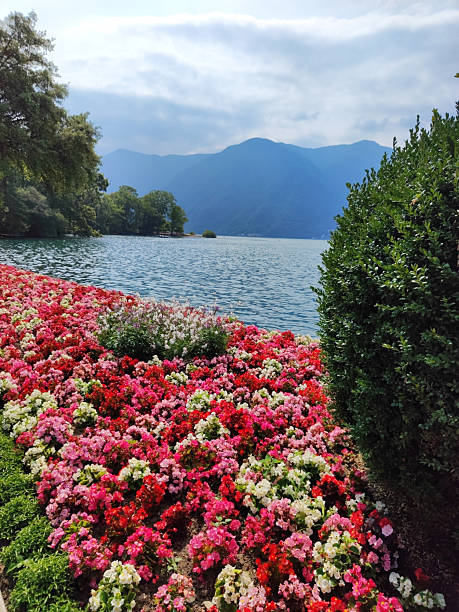 istock Lugano lake in summer, Switzerland 2223360019