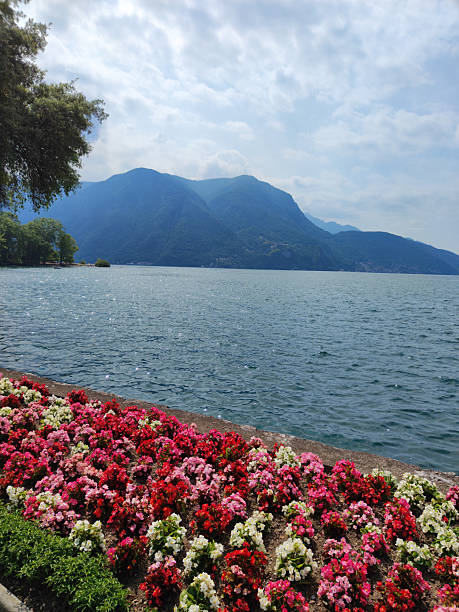 istock Lugano lake in summer, Switzerland 2223360206