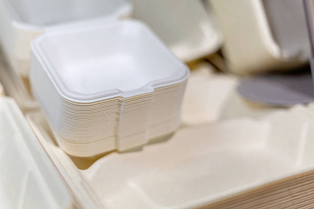 Biodegradable compostable takeaway boxes made from natural fiber for sustainable food packaging