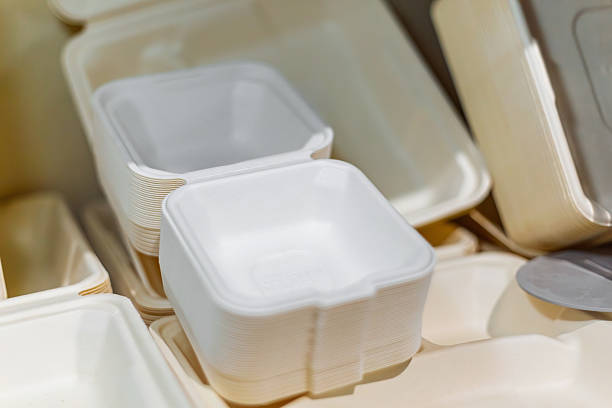 istock Stacked Biodegradable Food Containers for Eco-Friendly Use 2223370355