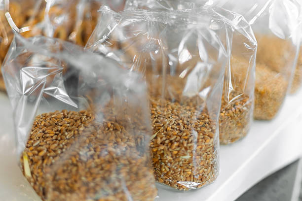 Clear plastic bags filled with organic wheat grains are neatly arranged on a white surface