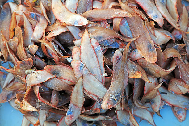 istock Piles of flounder 2223372697