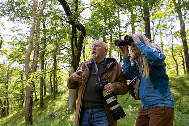 istock Enjoying a Day of Bird Watching Together 2223381380