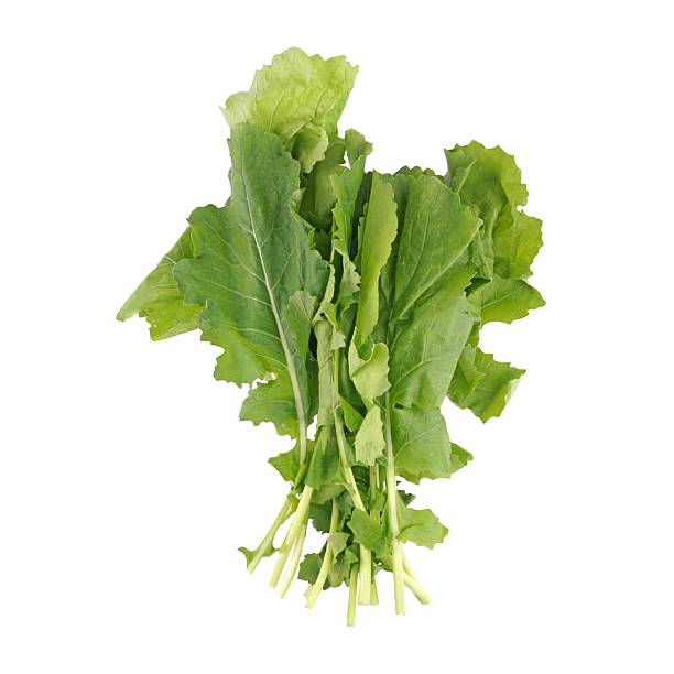 istock Fresh green rapini leaves isolated on a white background. 2223381416