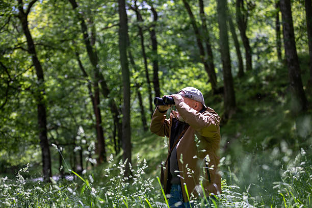 istock Patience in the Wild 2223381561