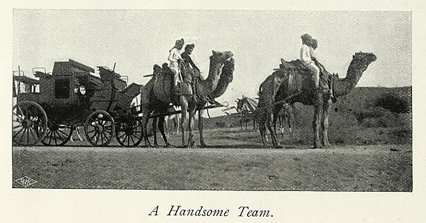 Military history, British army in India, Officers carriage pulled by camels, Victorian 19th Century vintage illustration