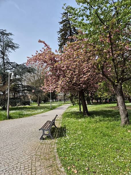 istock A peaceful city park in springtime 2223400252