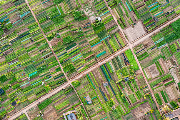 istock Sunrise Over Tra Que Vegetable Village, Hoi An 2223400261