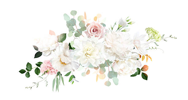Classic pink rose, white peony, blush pink ranunculus, eucalyptus, sage greenery vector design wedding spring bouquet. Horizontal banner. Floral summer watercolor. Elements are isolated and editable