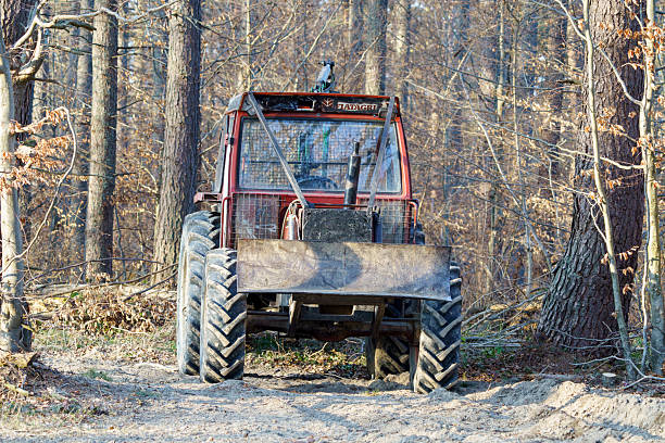 forestry skidder at workplace in the forest, Subcarpathian, Poland