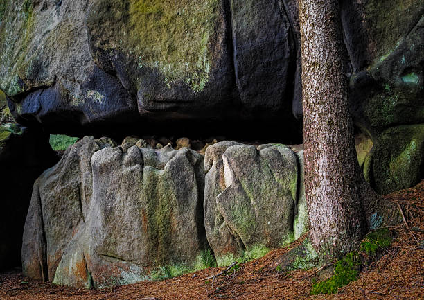 Natural rock formation resembling a giant mouth with a tree nearby