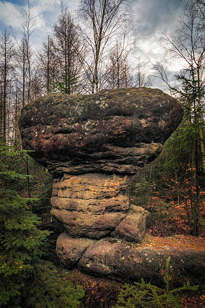 istock Impressive mushroom rock formation standing in a forest landscape 2223423197