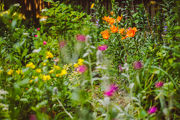 Flowers in the garden