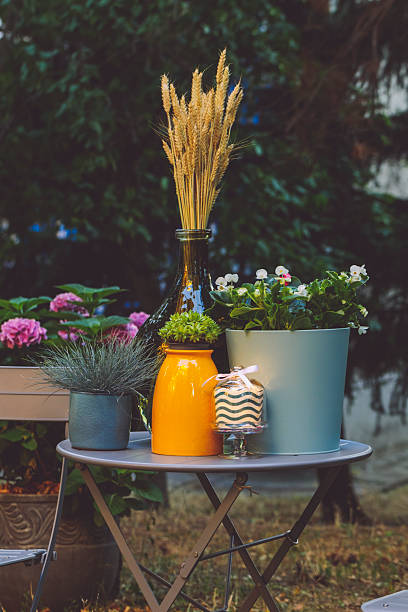 istock Flower arrangement in the garden 2223424531