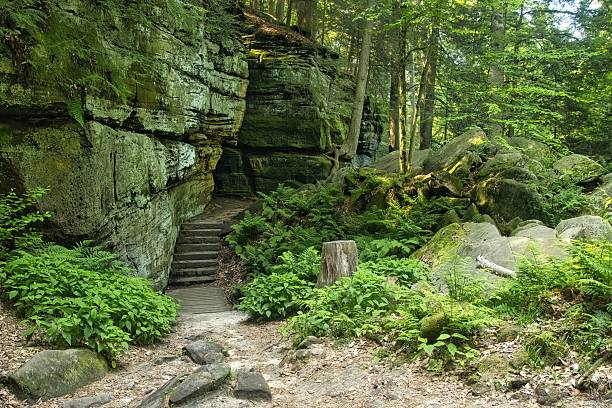 istock Stone Steps Beside Rock Wall at Cuyahoga 2223424879