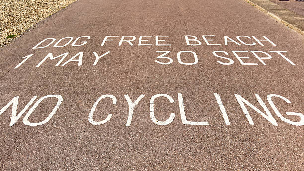 istock Sign on a path banning dogs on a beach and cycling 2223424955