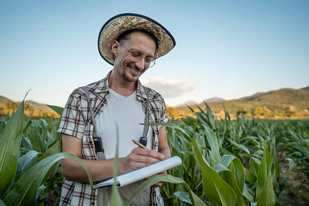 istock Smiling Farmer Writing Notes in a Green Cornfield During Sunset 2223429204