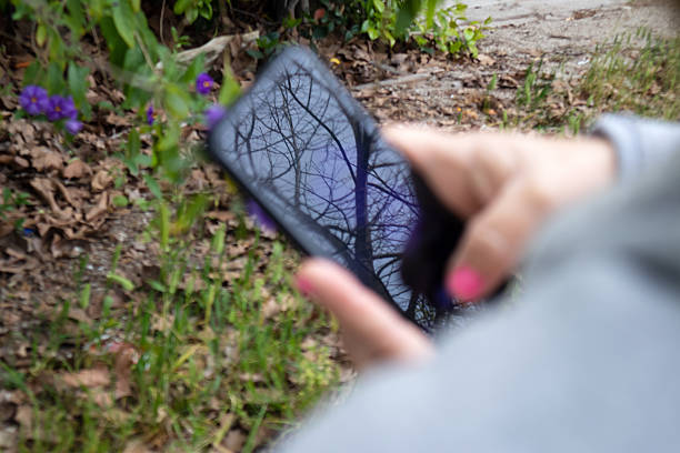 istock Taking pictures in the nature 2223433883