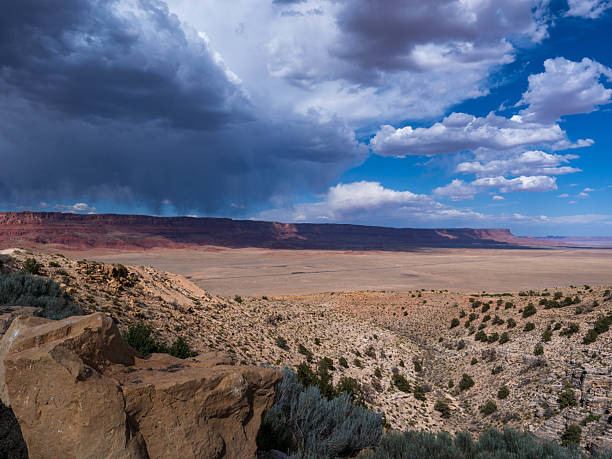istock A desert view from the highway 2223437506