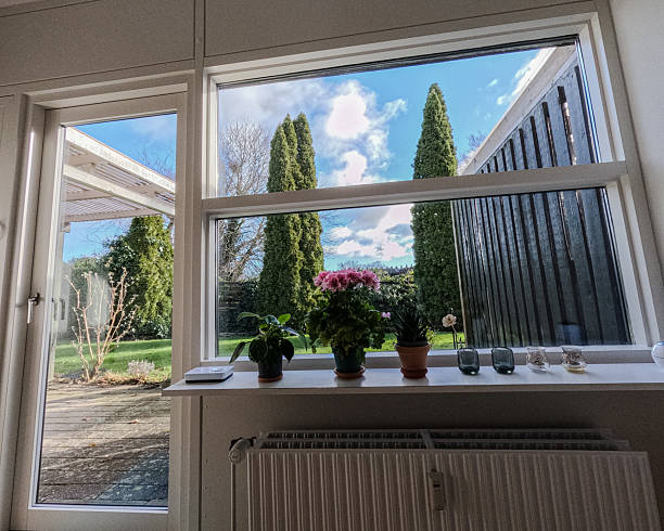 istock View blooming garden from the apartment. Green courtyard. 2223442956
