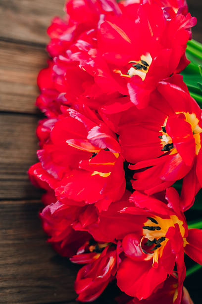 Vibrant red tulips are arranged closely on a weathered wooden surface showcasing their delicate petals and rich color under soft daylight.