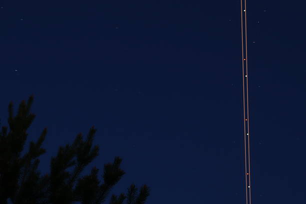 A night sky with stars and an airplane trail against the treetop.