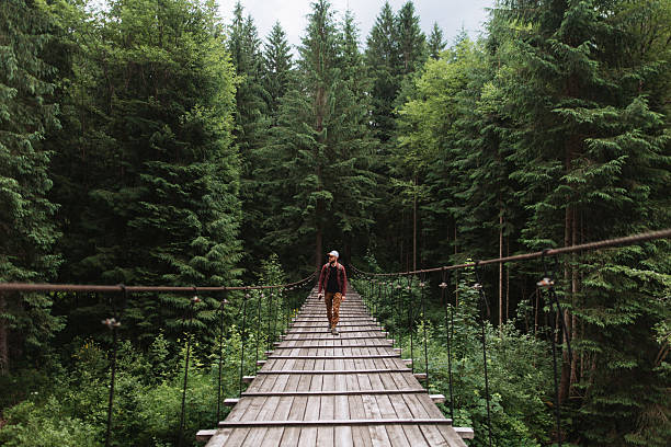 A person hiking across a wooden suspension bridge amidst towering pine trees in a serene green forest, suggesting adventure, exploration, and embracing nature