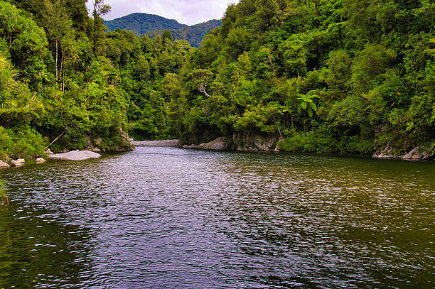 The Otaki River flows through the dense rainforest of Tararua Forest Park, Kapiti Coast district, North Island, New Zealand.