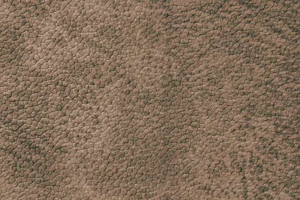 Detailed close up, macro of brown synthetic suede leather texture, faux leather, leatherette. Background for design, fashion, upholstery material visuals. Natural grain structure, soft look.