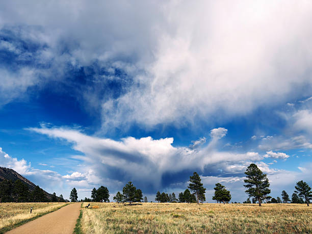 Buffalo Park in Flagstaff Arizona