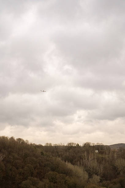 Plane flying over Vilnius forests on an overcast no snow winter day, Lithuania