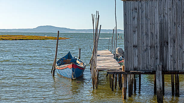 istock Silence in the sea mud 2223455090