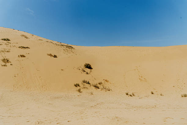 istock Desert Sarykum Dagestan landscape, sandy orange dunes, sunny wilderness 2223456586