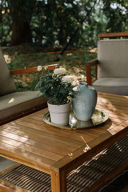 istock Modern table, chairs and sofa with cushions in garden, summer relaxing vibe 2223457422