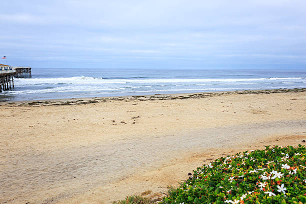 Calming early morning at still empty Pacific beach north of public wooden Crystal pier in San Diego, California