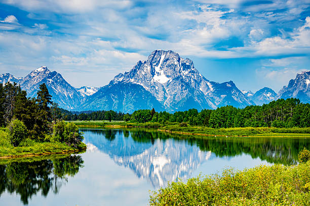 istock Yellow flowers and Grand Tetons reflection 2223464479
