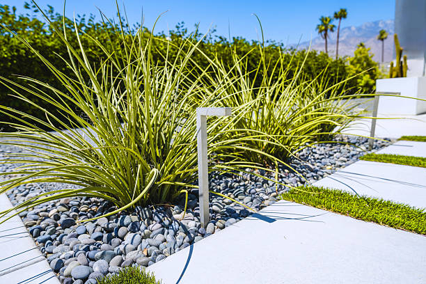 Summer rocks and green grass, natural background.