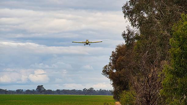 istock Crop duster flying low over farmland near Yarrawonga 2223465757