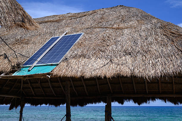 istock Thatched Palapa Roof with Solar Panel Overlooking the Ocean - Renewable Energy 2223480185