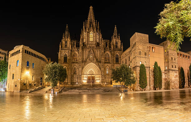 The Barcelona Cathedral at night