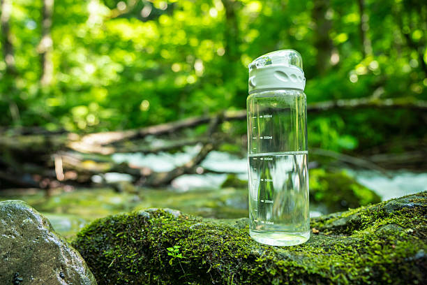 A transparent reusable water bottle with a white cap is placed on a moss-covered rock near a flowing forest stream, surrounded by vibrant greenery, emphasising themes of nature, outdoor activities, and sustainability.