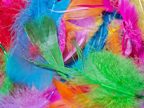 istock Colorful rainbow dyed bird feathers fill the frame 2223486225