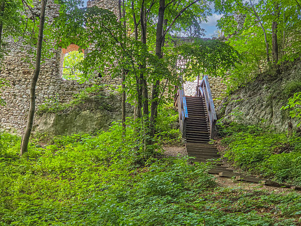Ruins of a medieval castle surrounded by the Smolen reserve.