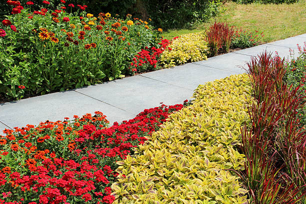 Large summer flower garden.