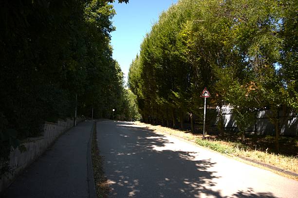 istock Empty road in Biatorbagy, Hungary 2025 2223499314
