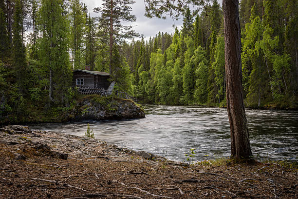 istock River landscape from oulanka national park in summer 2223499699